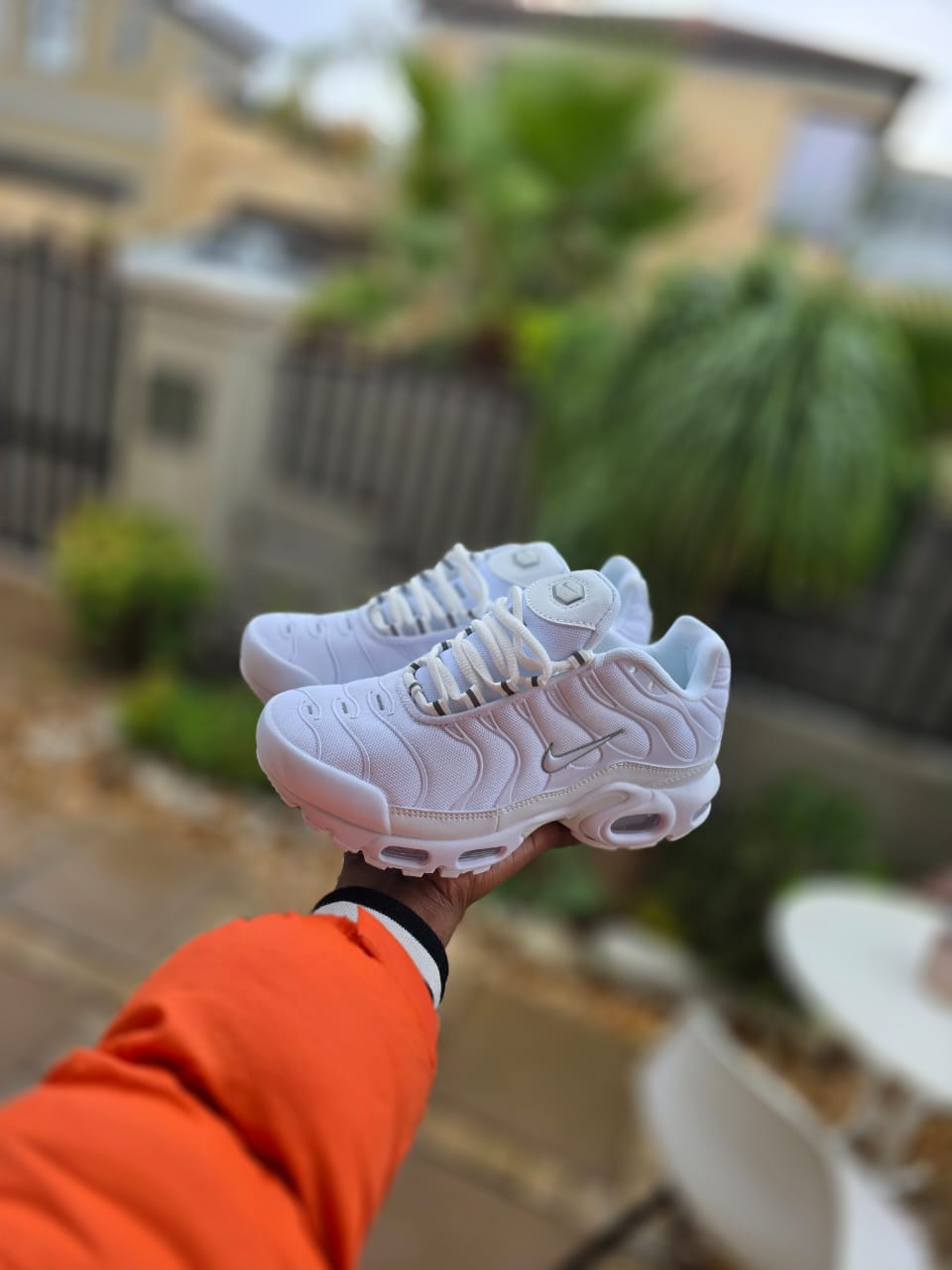 Nike Air Max Plus (Air Max TN)
