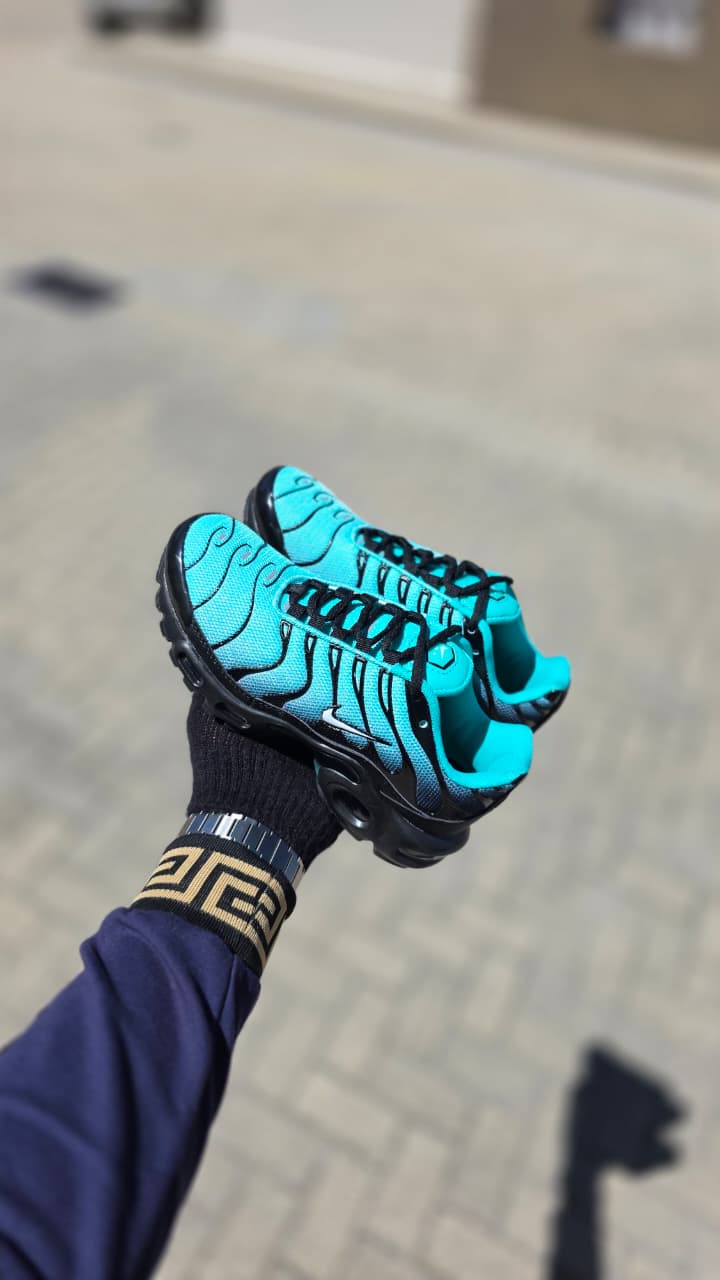 Air Max TN – Bold Style, Maximum Comfort