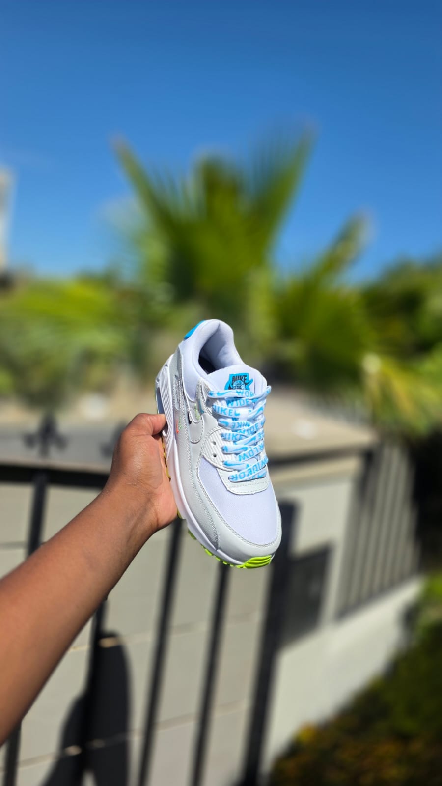 Airmax 90 Dual Colors Edition