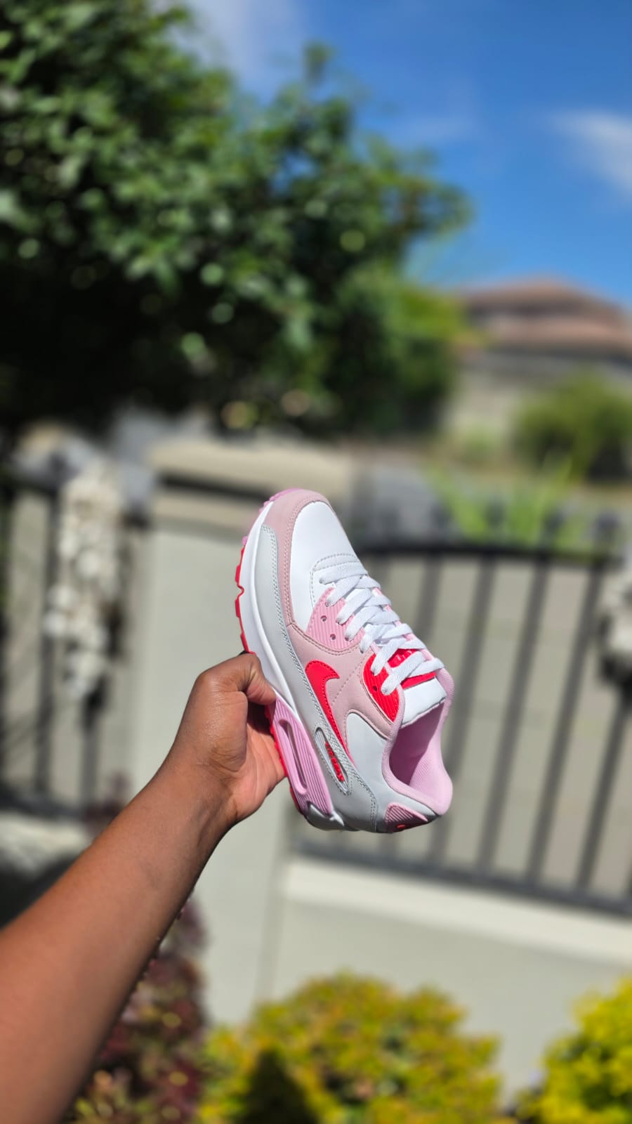 Airmax 90 Dual Colors Edition