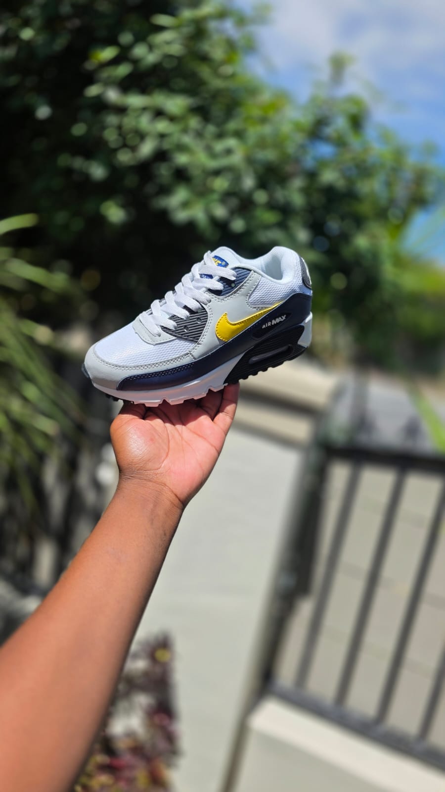Airmax 90 Dual Colors Edition